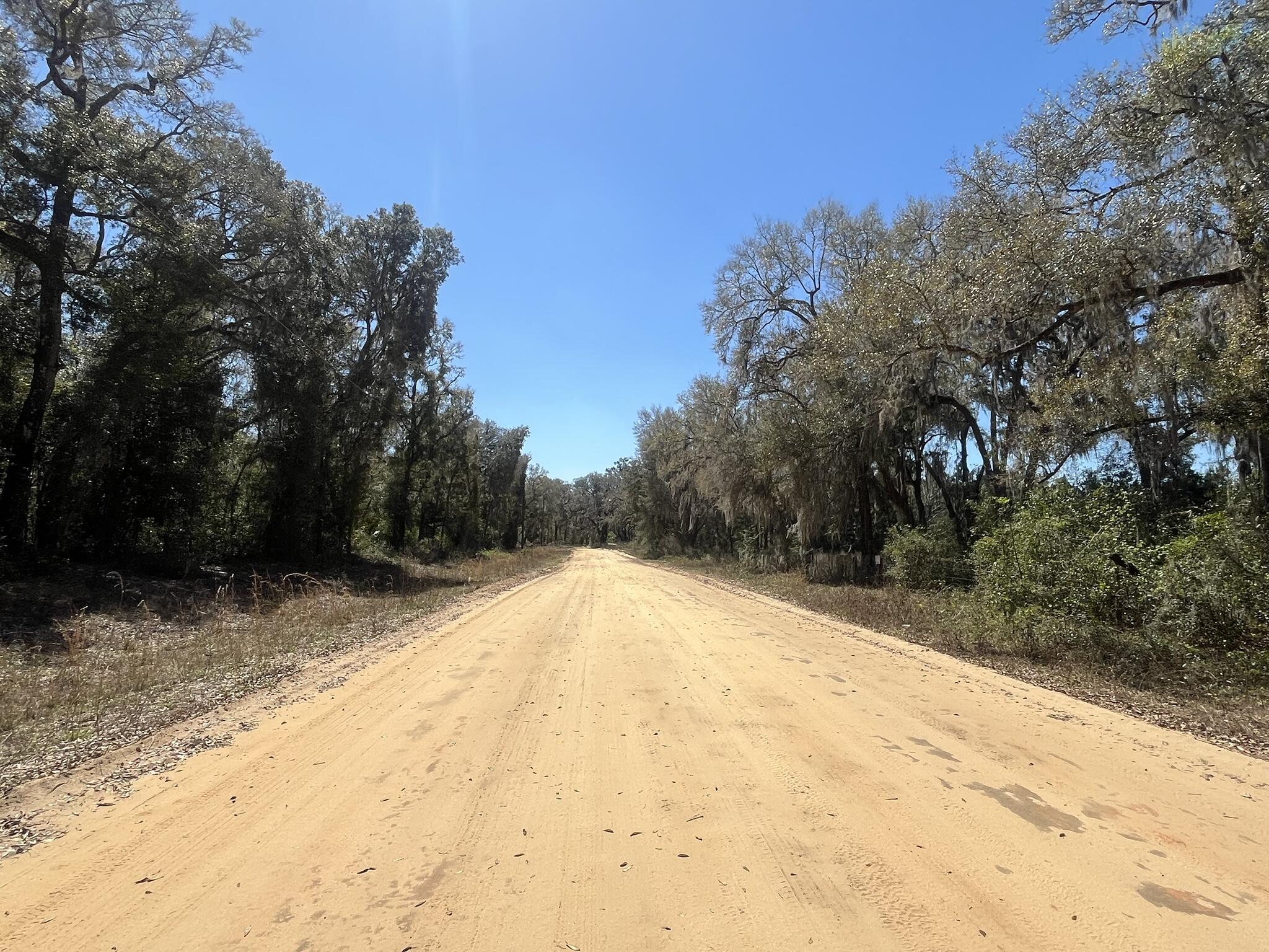 Tbd Walker Drive Interlachen, FL 32148 - Photo 2 of 7 1000000897