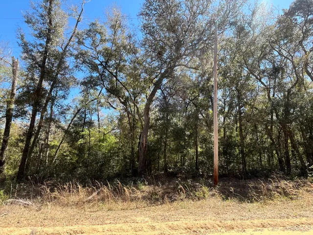 $13,800 | Tbd Walker Drive, Interlachen, FL 32148