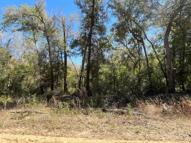 $13,800 | Tbd Walker Drive, Interlachen, FL 32148