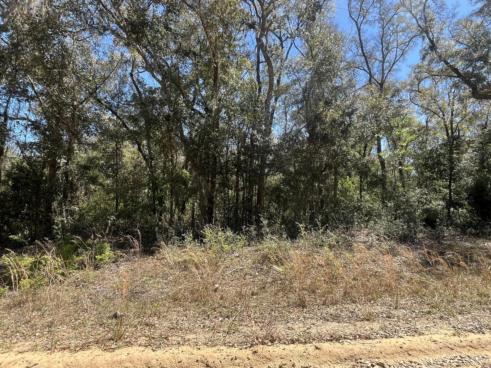 Tbd Walker Drive Interlachen, FL 32148 - Photo 6 of 7 1000000896