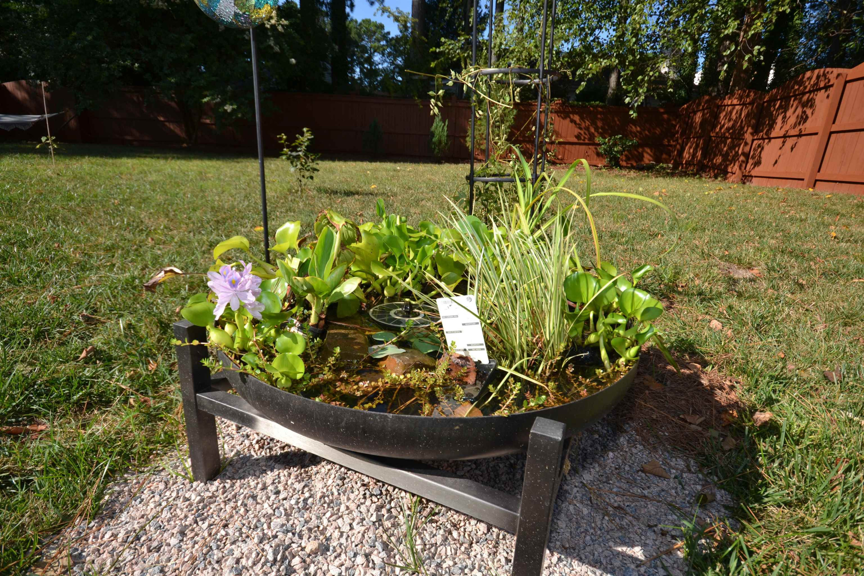 5501 Cardinal Grove Boulevard Raleigh, NC 27616 - Photo 26 of 37 a view of a garden with a bench