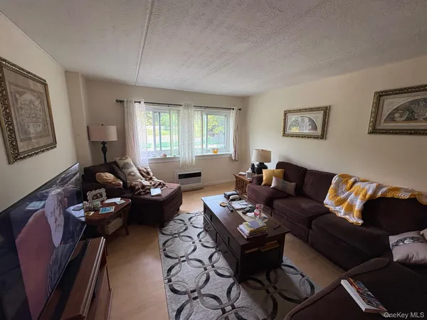 a living room with furniture couches and a flat screen tv