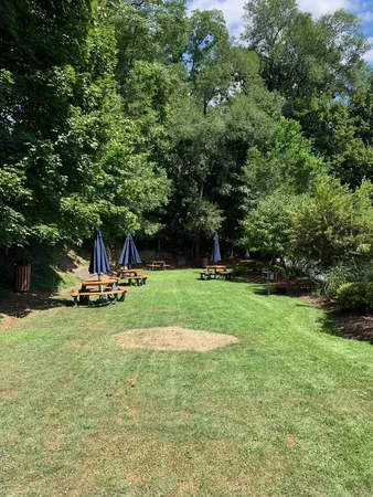 a view of a garden with a slide