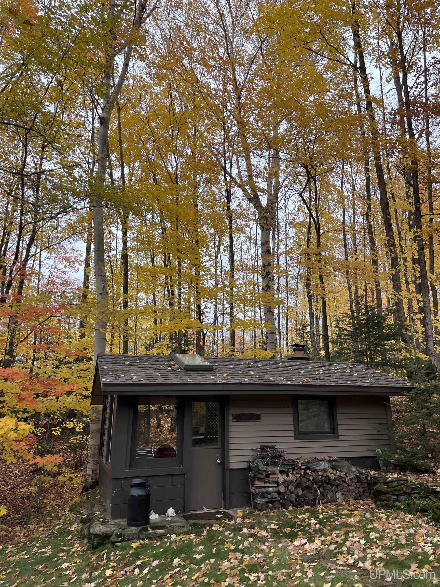 1605 Engman Lake Road Skandia, MI 49885 - Photo 67 of 90