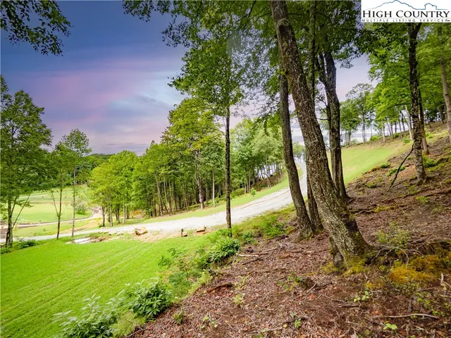 a view of a park with large trees