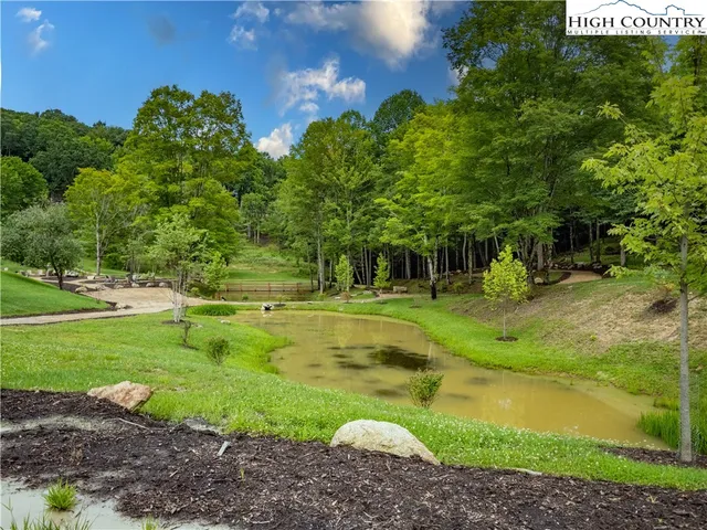 a view of a park with large trees