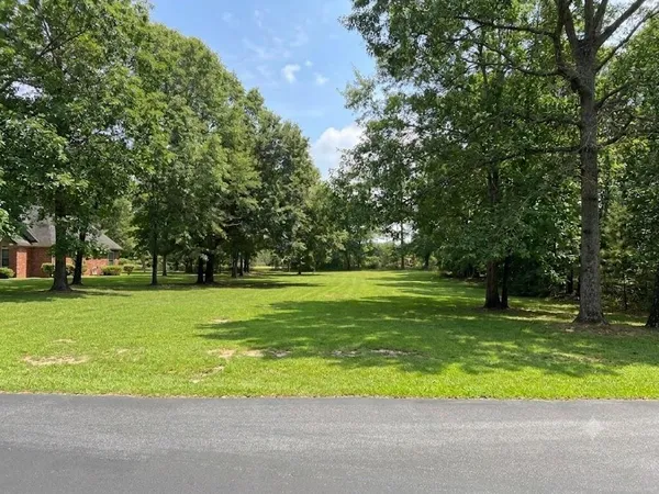 $25,000 | 318 Lake Arbu Drive, Manning, SC 29102