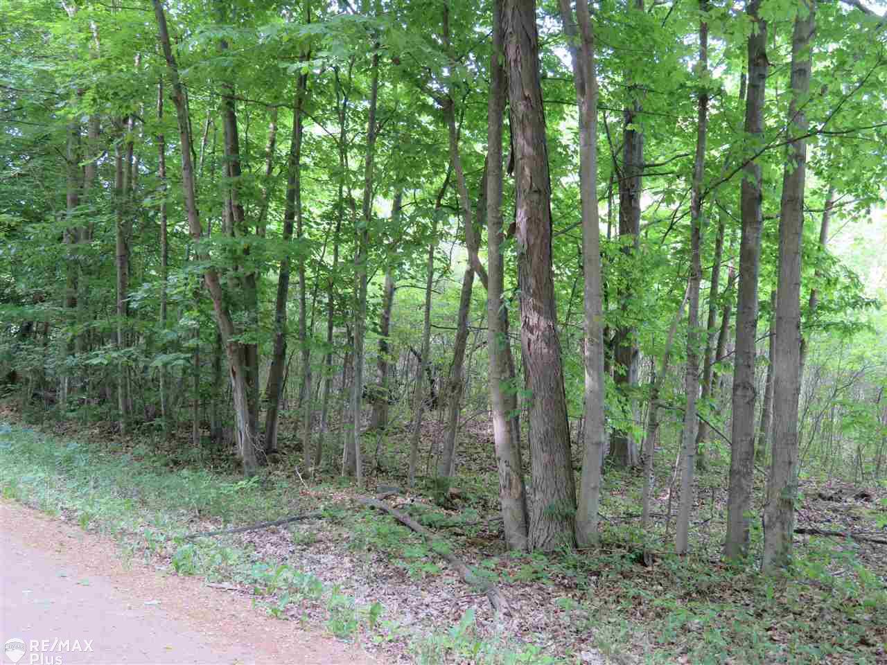 0 South Force Road Attica, MI 48412 - Photo 4 of 4