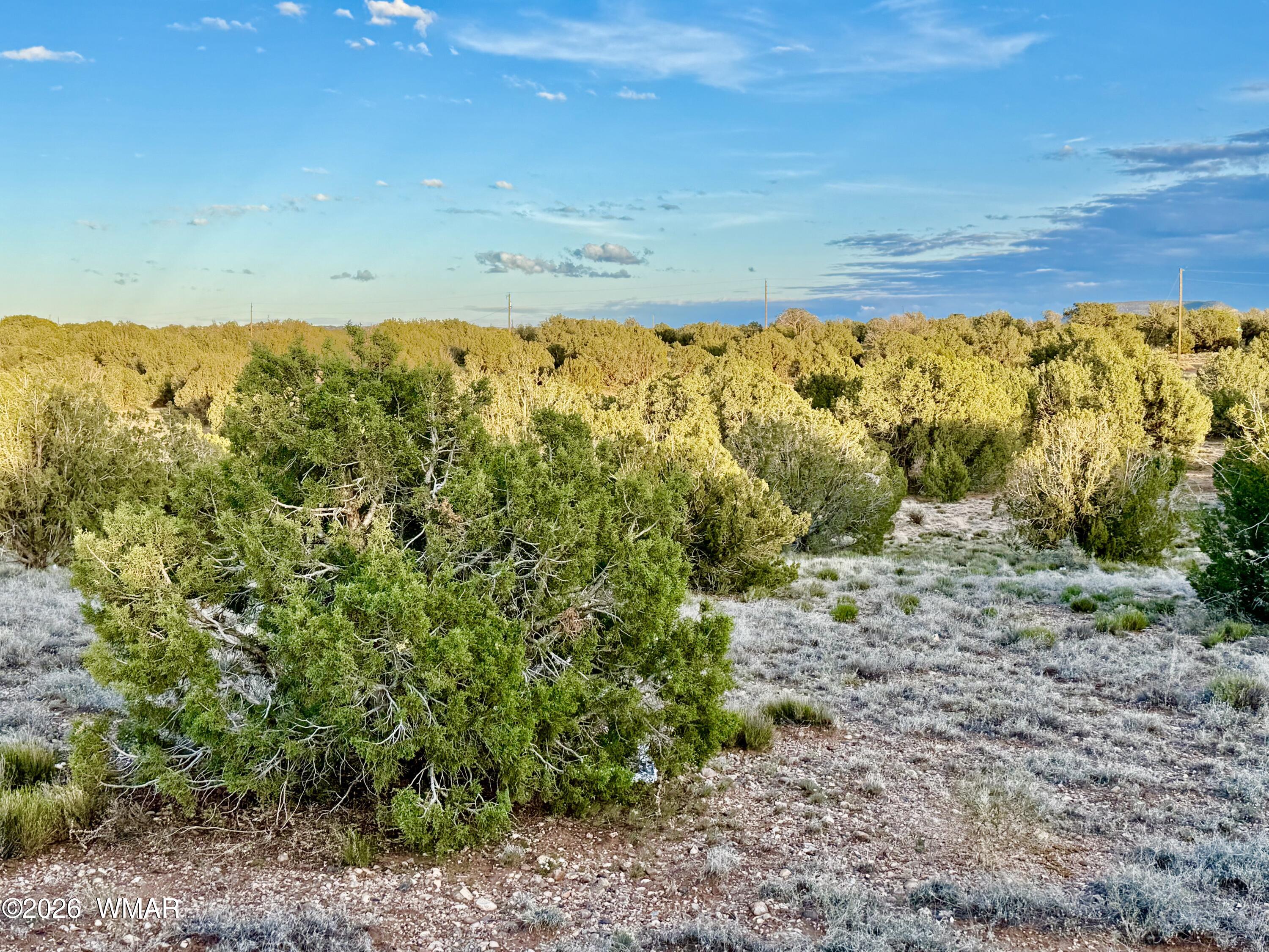 4428 Colt Road Snowflake, AZ 85937 - Photo 21 of 22 IMG_6156