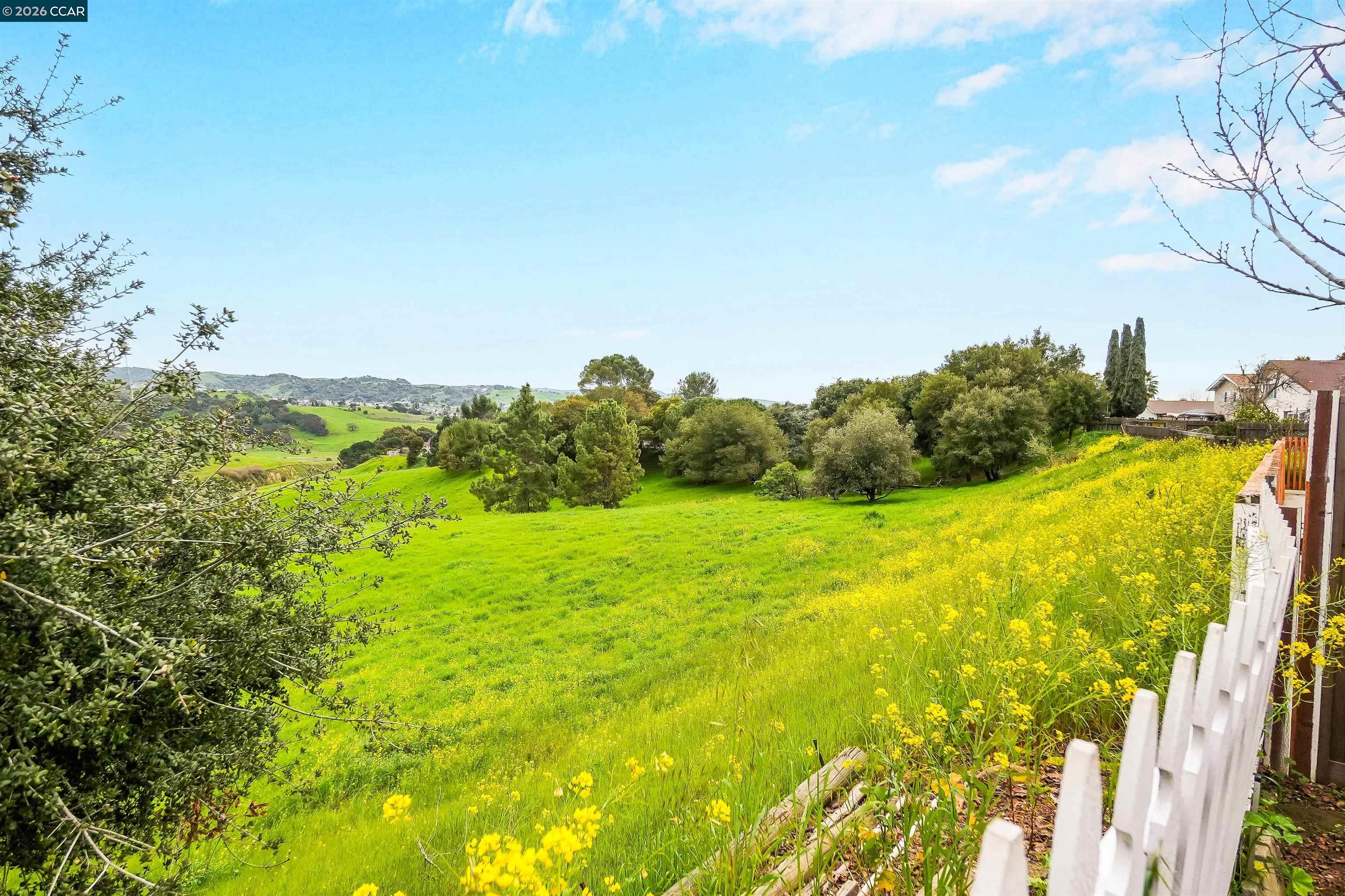 922 Coral Drive Rodeo, CA 94572 - Photo 50 of 59 a view of a yard with an outdoor space