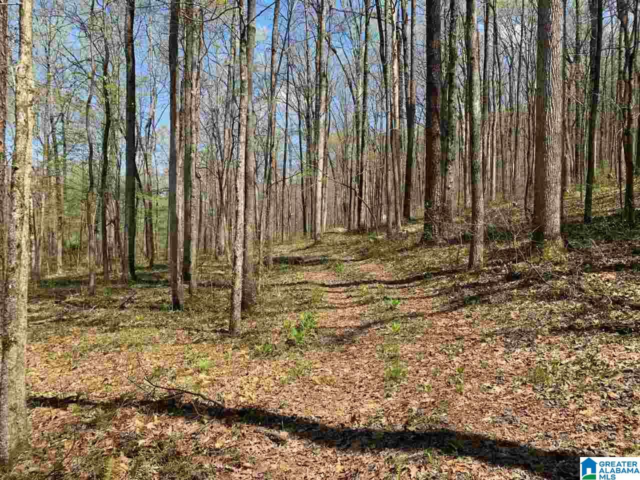 5925 Cahaba Valley Road, Unit 1 Birmingham, AL 35242 - Photo 12 of 21