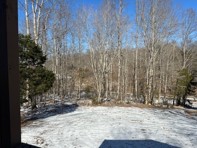 2040 Turkey Creek Road Dickson, TN 37055 - Photo 11 of 11