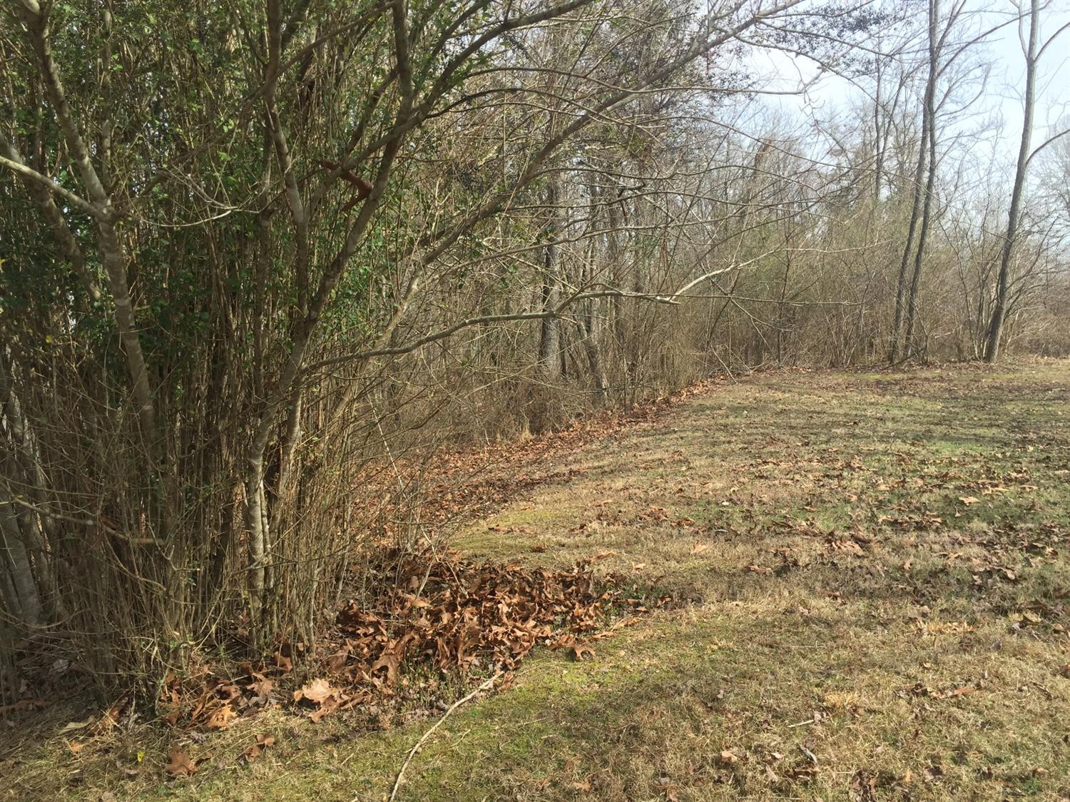 101 Omega Road Beattyville, KY 41311 - Photo 8 of 8 Photo 8