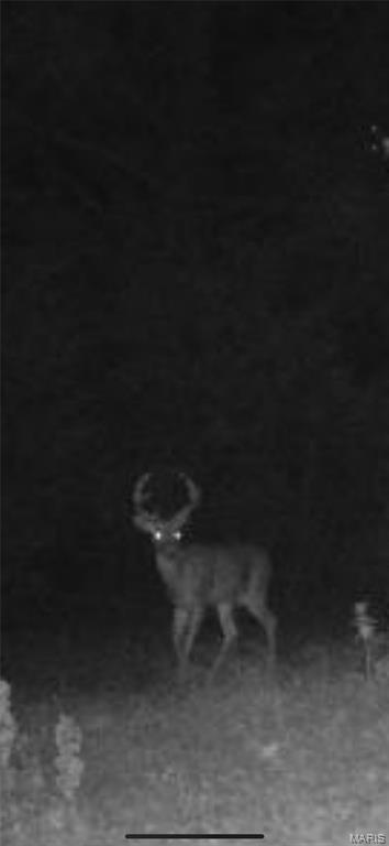 6483 Wayne Rte P Lowndes, MO 63951 - Photo 18 of 37