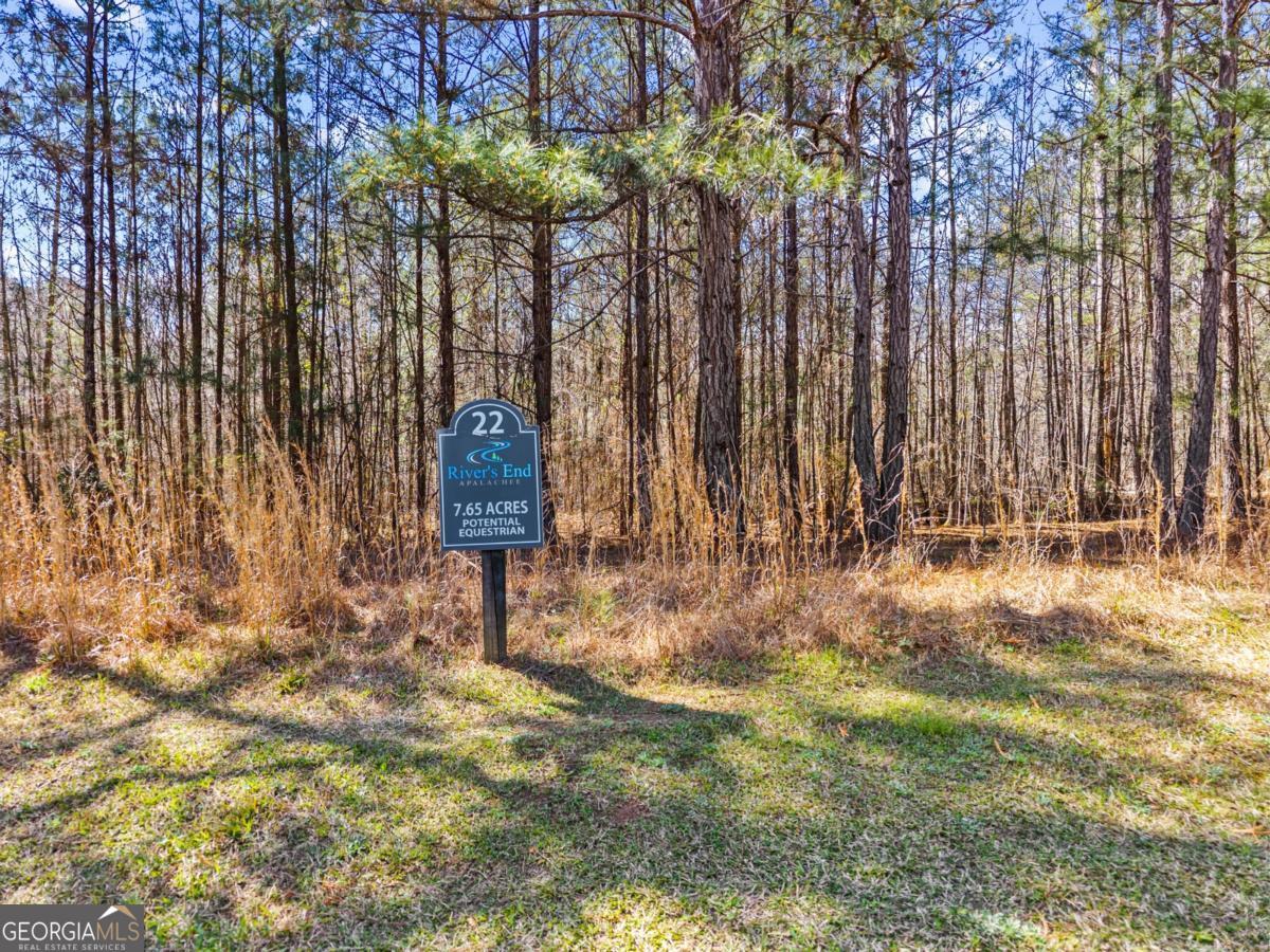 Lot 22 Apalachee Ridge Madison, GA 30650 - Photo 3 of 26