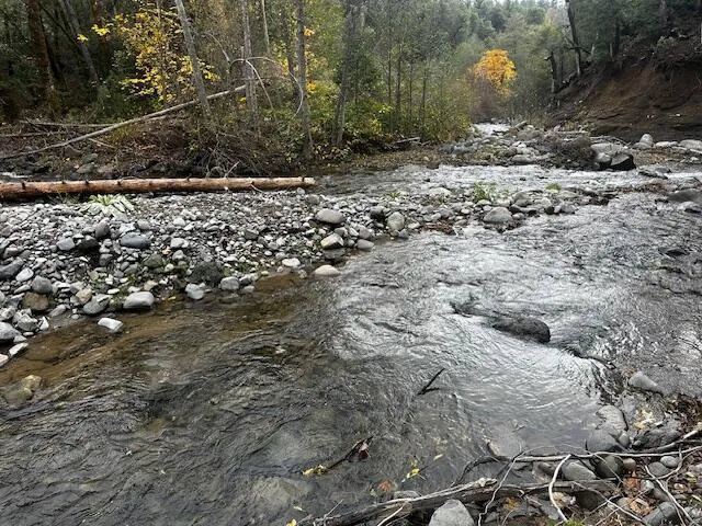 a view of a backyard of a house