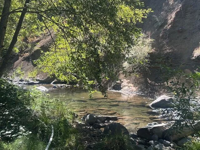 a view of a lake from a yard
