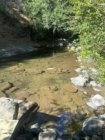 a view of lot of trees