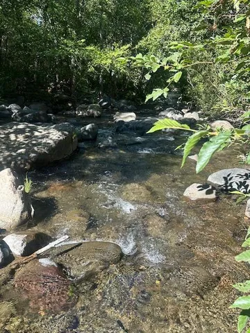 a front view of house with yard and trees