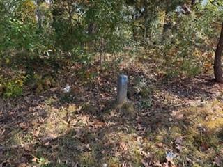 4819 Glenwood Road Decatur, GA 30035 - Photo 4 of 10 a picture of trees