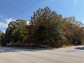 4819 Glenwood Road Decatur, GA 30035 - Photo 8 of 10 a view of backyard with green space