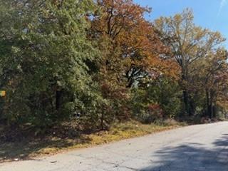 4819 Glenwood Road Decatur, GA 30035 - Photo 9 of 10 a view of a yard with a tree