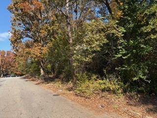 4819 Glenwood Road Decatur, GA 30035 - Photo 10 of 10 a view of a yard with a tree