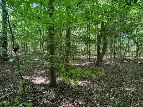 $60,000 | 134 Red Dog Drive, Louisburg, NC 27549