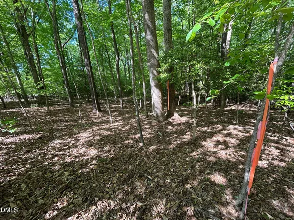 $60,000 | 134 Red Dog Drive, Louisburg, NC 27549