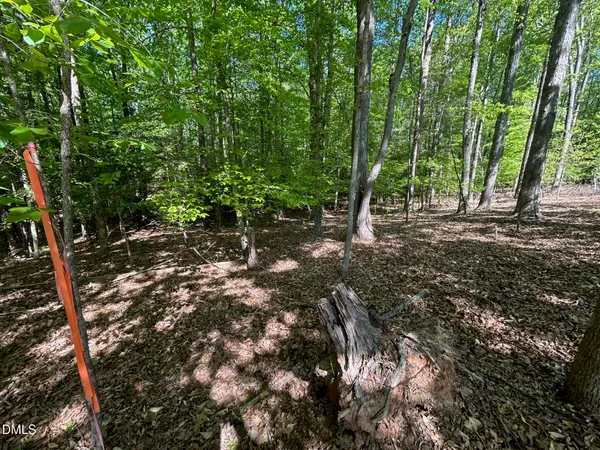 $60,000 | 134 Red Dog Drive, Louisburg, NC 27549