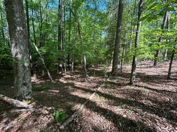 $60,000 | 134 Red Dog Drive, Louisburg, NC 27549