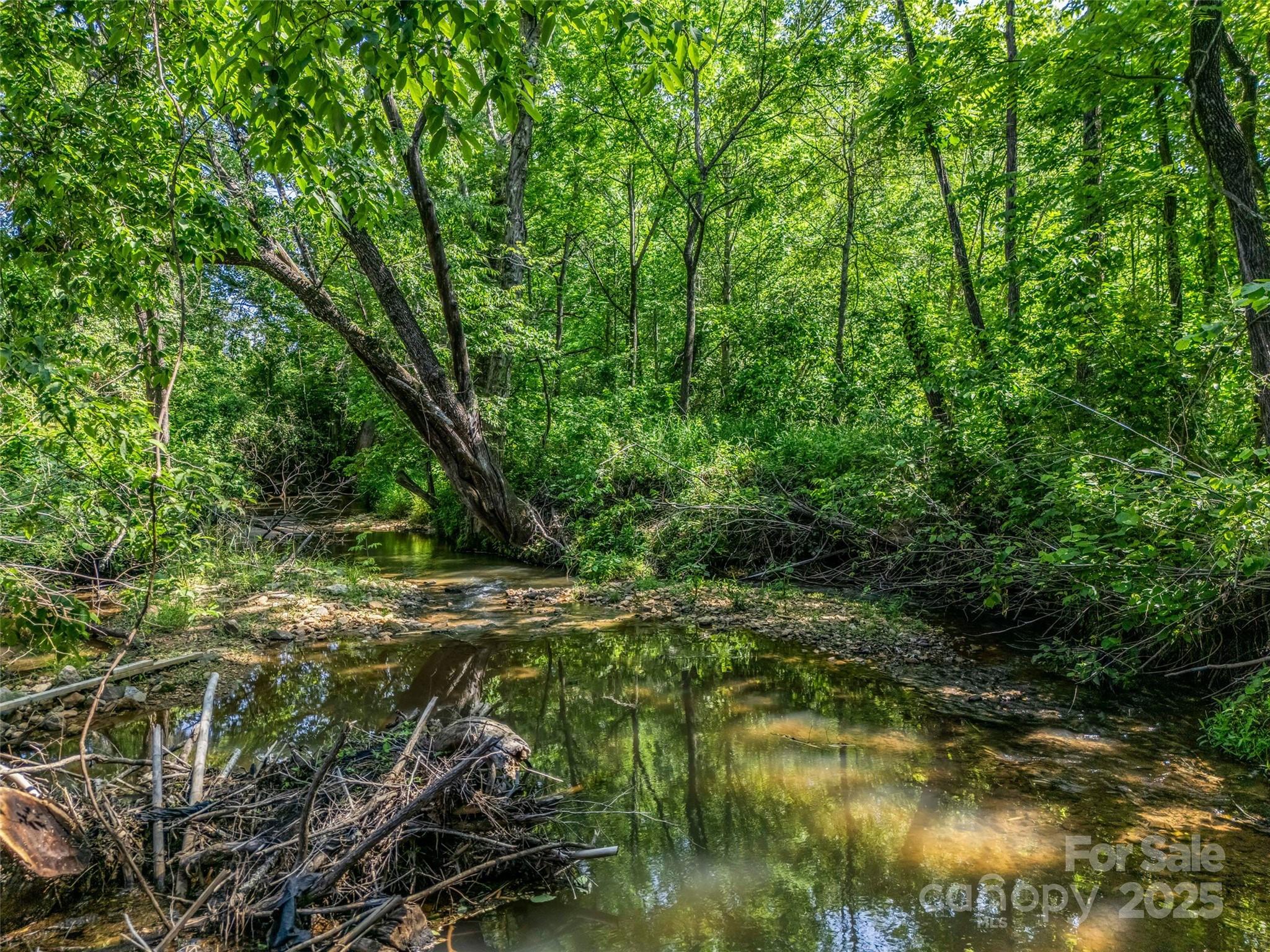 2941 Nix Creek Road Marion, NC 28752 - Photo 44 of 48 Gallery Image 44