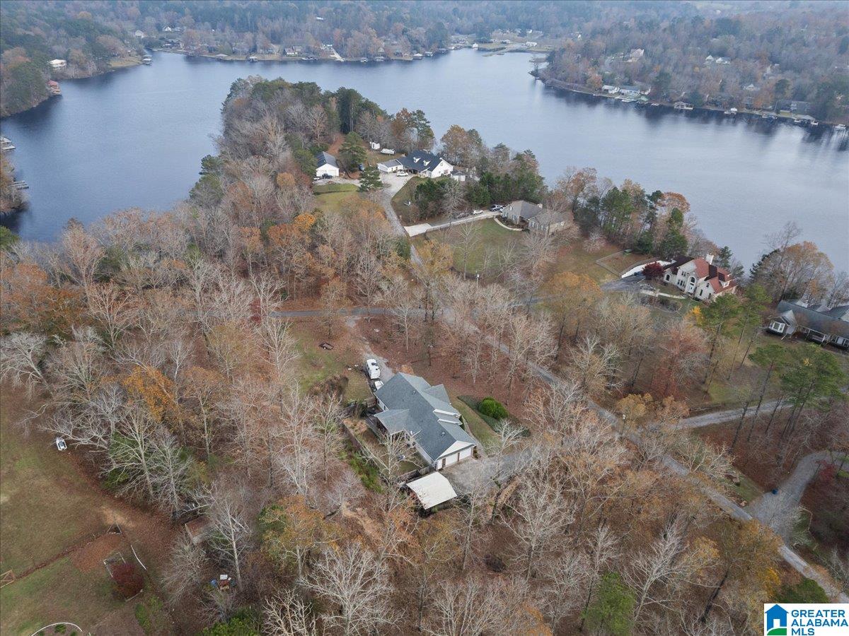 258 Lakeshore Loop Oneonta, AL 35121 - Photo 3 of 48