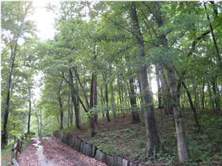 730 Pan Gap Road Chattanooga, TN 37419 - Photo 1 of 6 Primary Photo