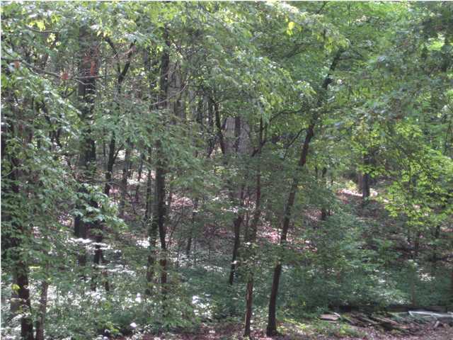730 Pan Gap Road Chattanooga, TN 37419 - Photo 4 of 6 Additional Photo