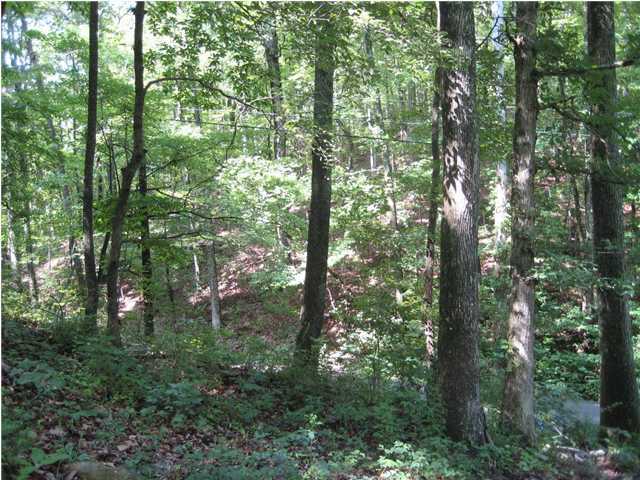 730 Pan Gap Road Chattanooga, TN 37419 - Photo 6 of 6 Additional Photo