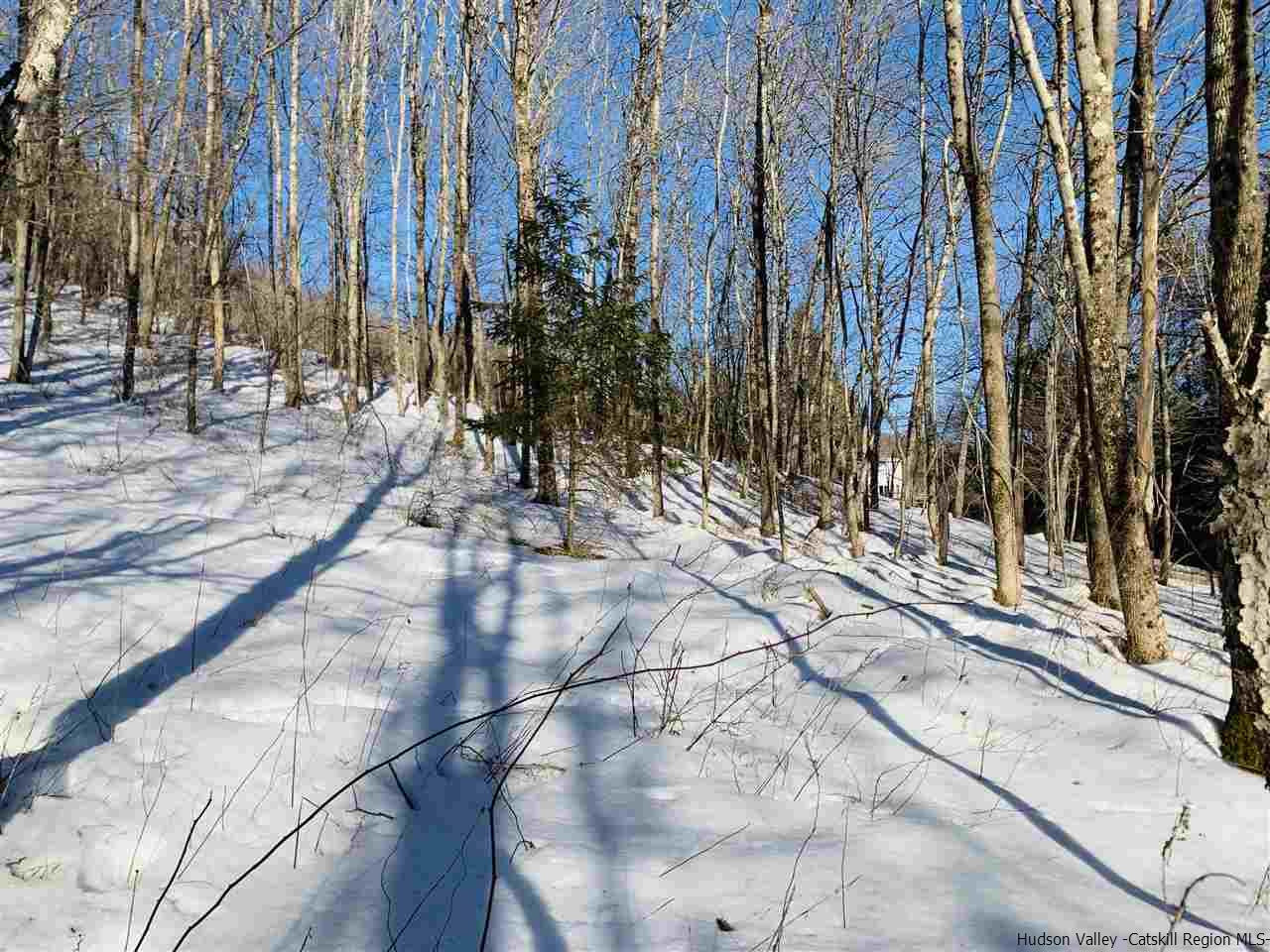 55 White Roe Lake Road Livingston Manor, NY 12758 - Photo 11 of 26 Photo 11