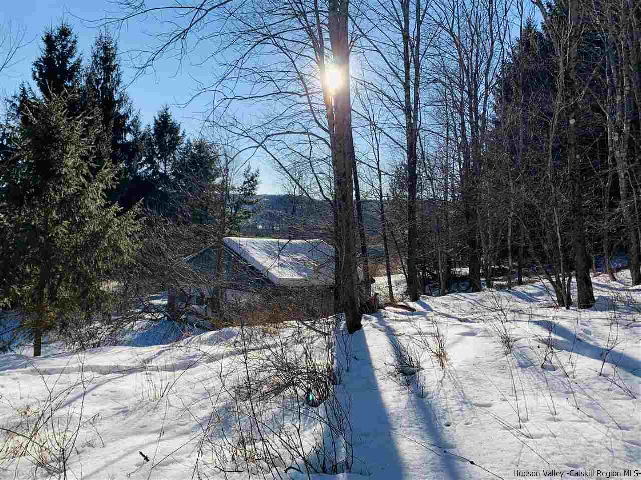 55 White Roe Lake Road Livingston Manor, NY 12758 - Photo 13 of 26 Photo 13