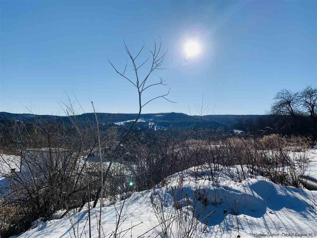 55 White Roe Lake Road Livingston Manor, NY 12758 - Photo 16 of 26 Photo 17