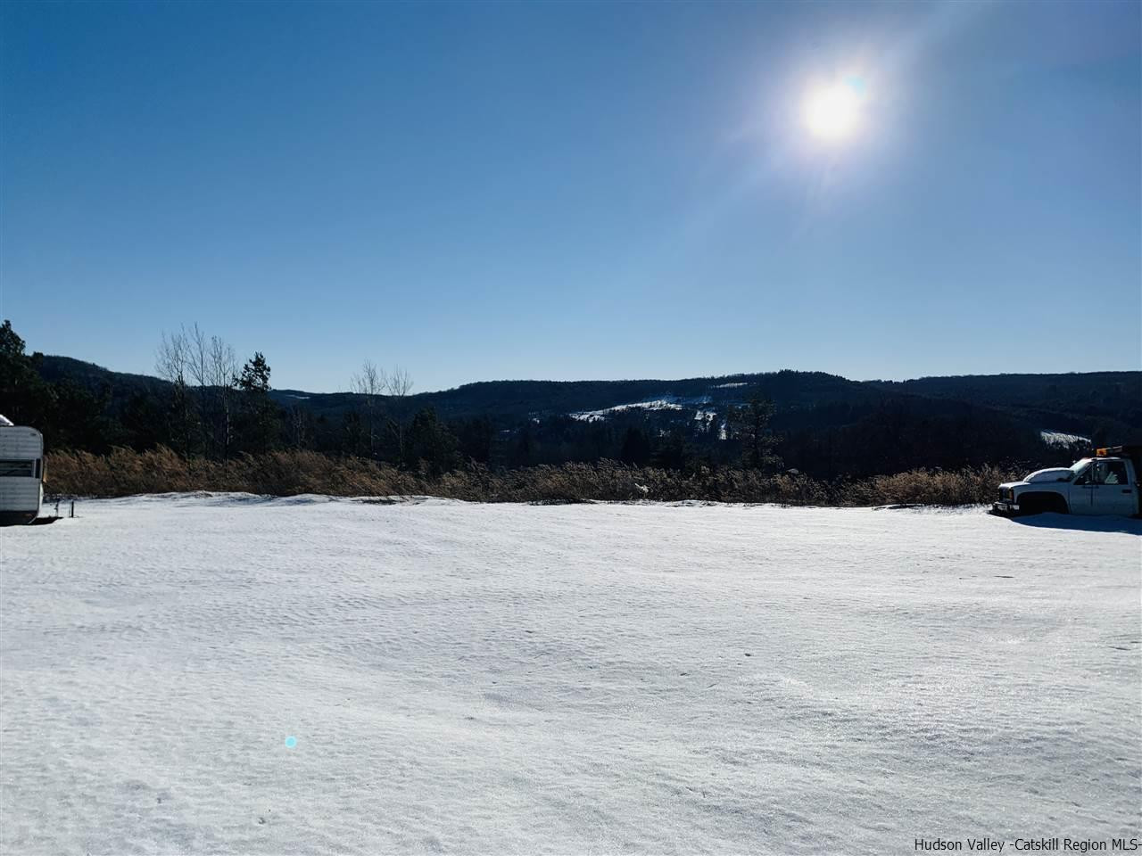 55 White Roe Lake Road Livingston Manor, NY 12758 - Photo 25 of 26 Photo 26