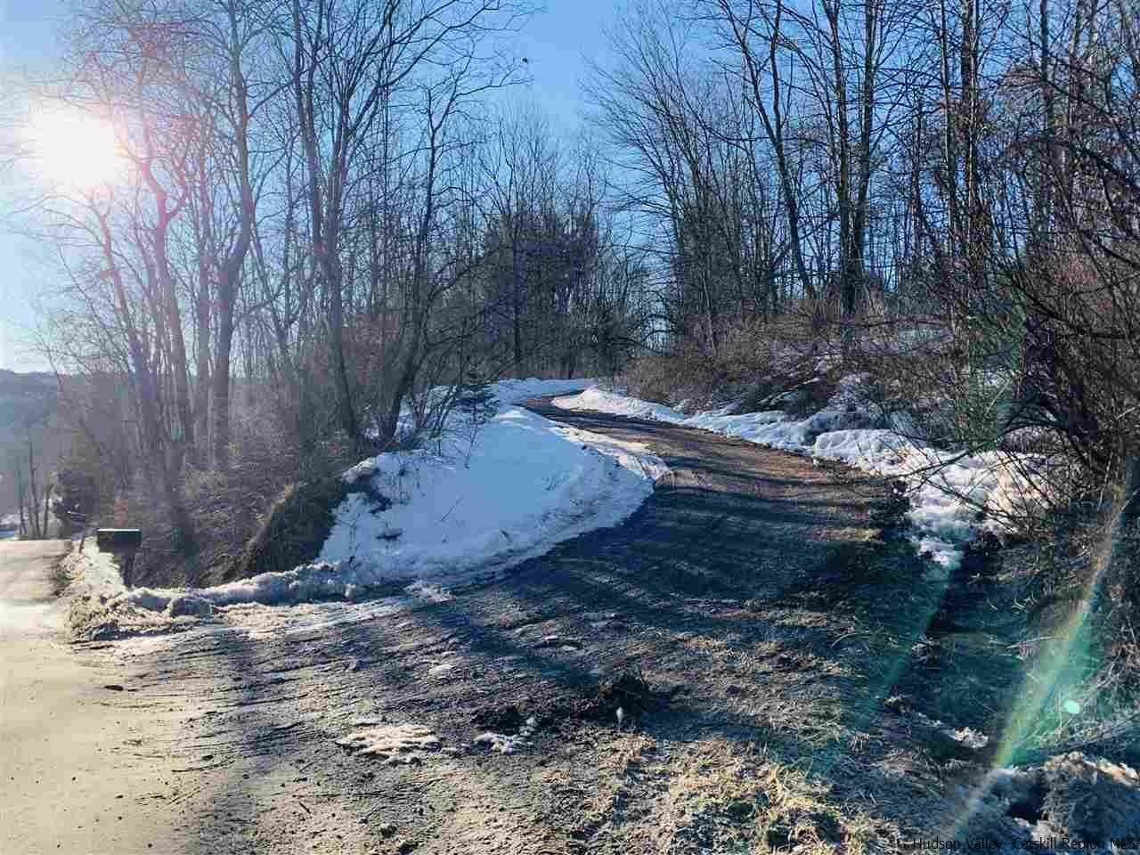 55 White Roe Lake Road Livingston Manor, NY 12758 - Photo 8 of 26 Photo 8