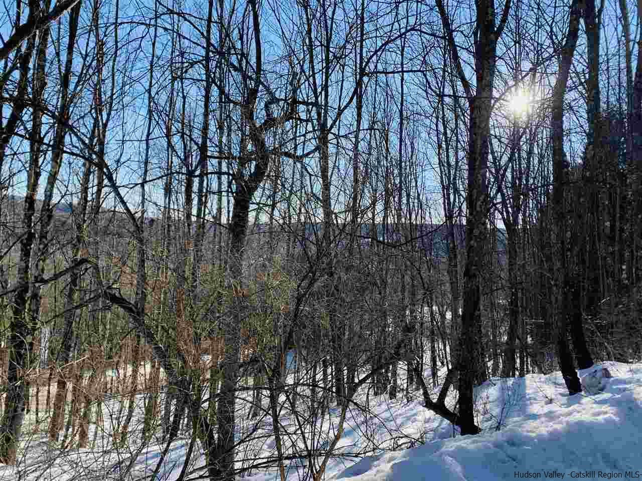 55 White Roe Lake Road Livingston Manor, NY 12758 - Photo 10 of 26 Photo 10