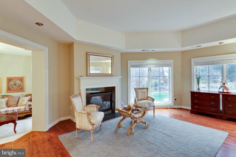 903 Georgetown Ridge Court McLean, VA 22102 - Photo 4 of 27 a living room with furniture and a fireplace