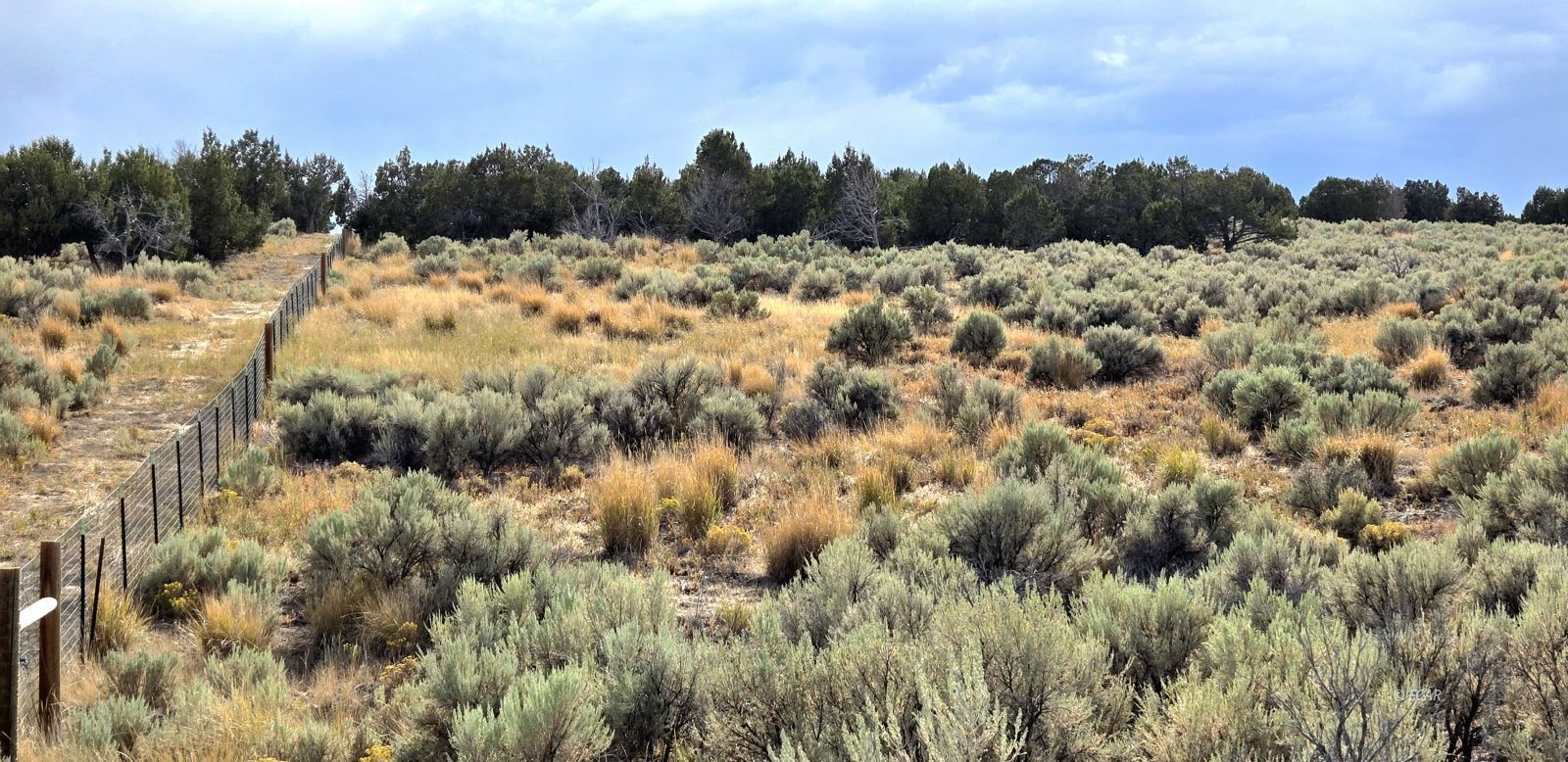 816 Hamilton Stage Road Spring Creek, NV 89815 - Photo 19 of 36 Gallery Image 19