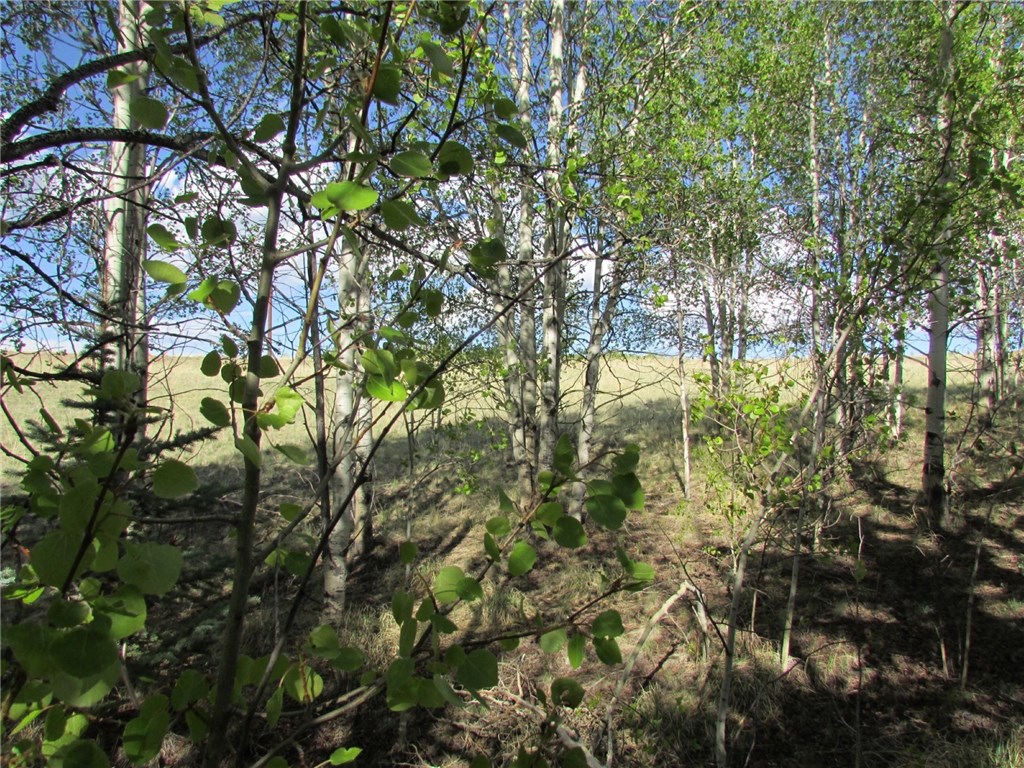 55 Mallard Road Como, CO 80432 - Photo 11 of 12 Gallery Image 11