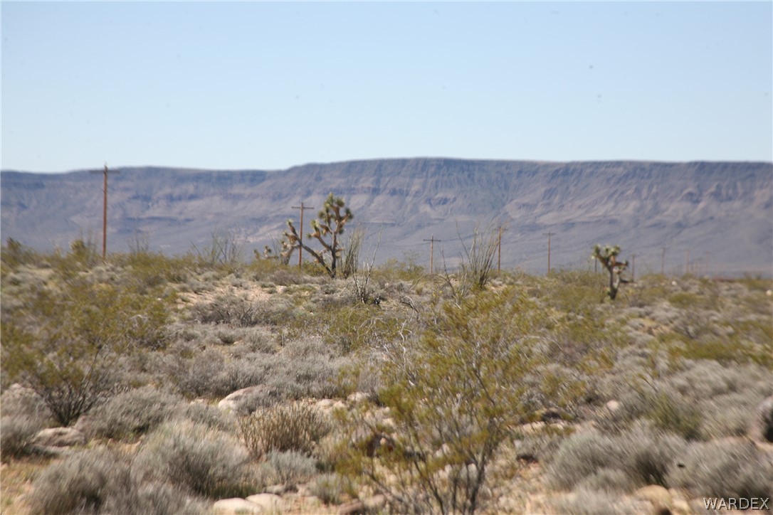 208-24-134 Cameron Road Yucca, AZ 86438 - Photo 66 of 86