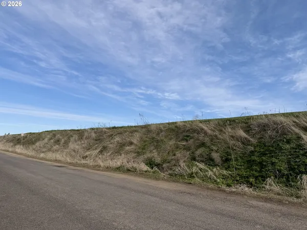 a view of a field with an ocean view