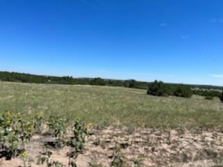 6279 Cedarwood Road Rye, CO 81069 - Photo 2 of 8