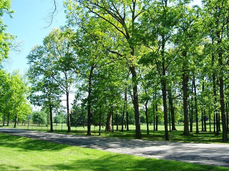 3520 Golfside Road Ypsilanti, MI 48197 - Photo 6 of 37 Photo 6