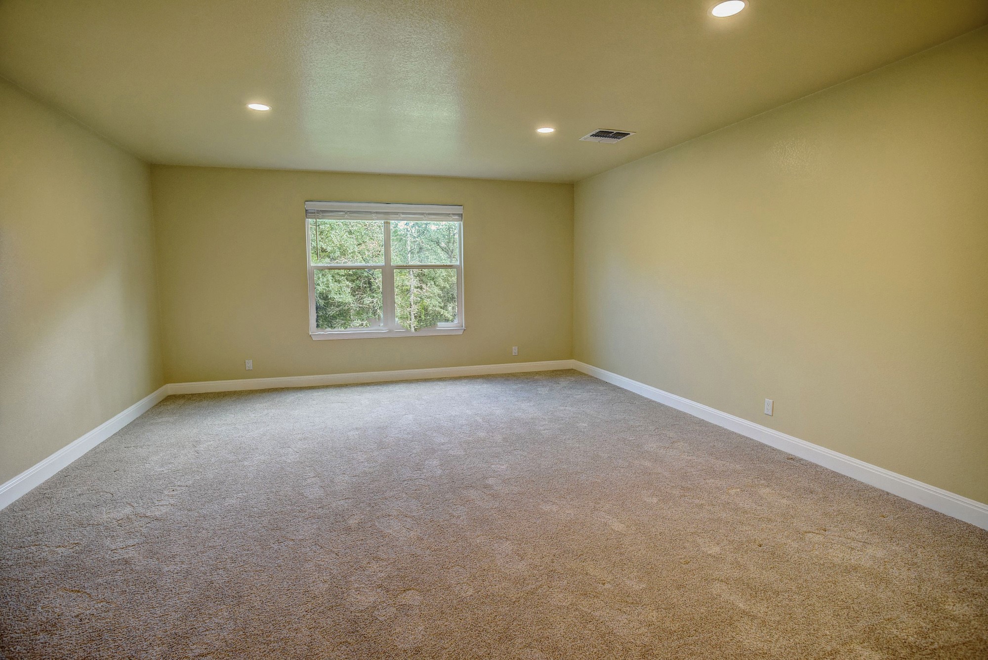 115 Pine Point Cove Elgin, TX 78621 - Photo 26 of 39 A spacious room offers ample natural illumination, with carpeting underfoot.